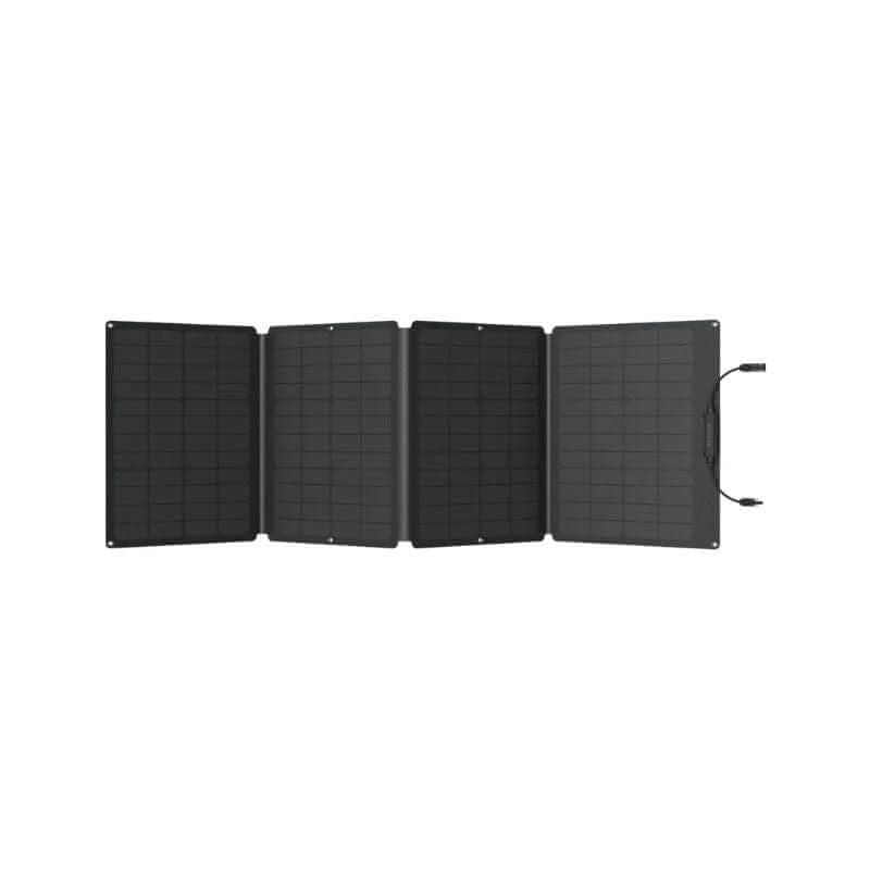 EcoFlow DELTA 2 Portable Power Station Bundle, 1024Wh Capacity, 1800W Output, Includes 2 x 110W Solar Panels | DELTA2-110W2