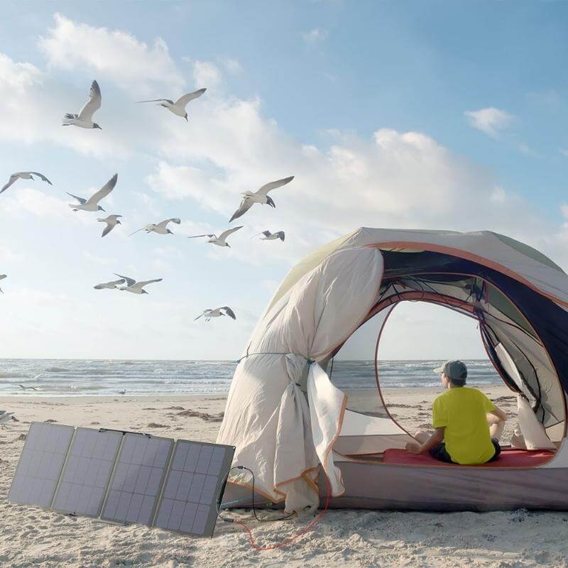 EcoFlow 110W Portable Solar Panel, High-Efficiency, Foldable, IP68 Waterproof | EFSOLAR110N