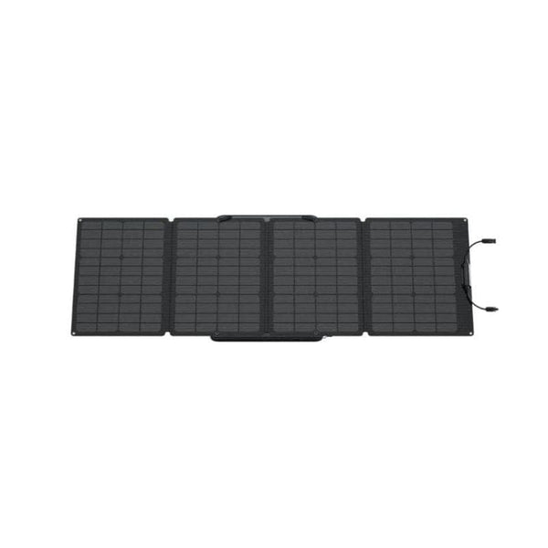 EcoFlow RIVER 2 + Panel Solar Portátil de 110 W