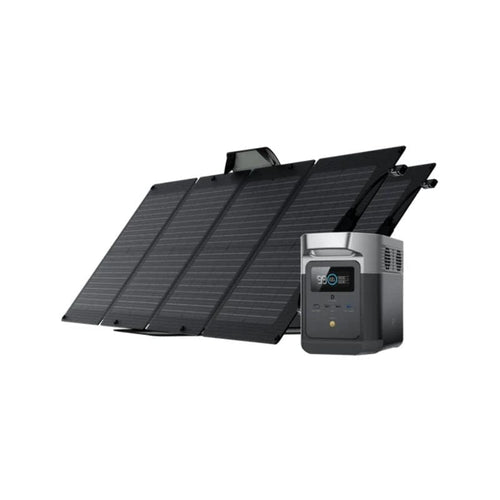EcoFlow Solar Generator EcoFlow DELTA Mini + 2x110W Solar Panels