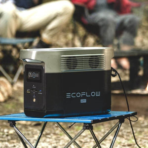 EcoFlow Generator EcoFlow DELTA Mini + 220W Bifacial Solar Panel