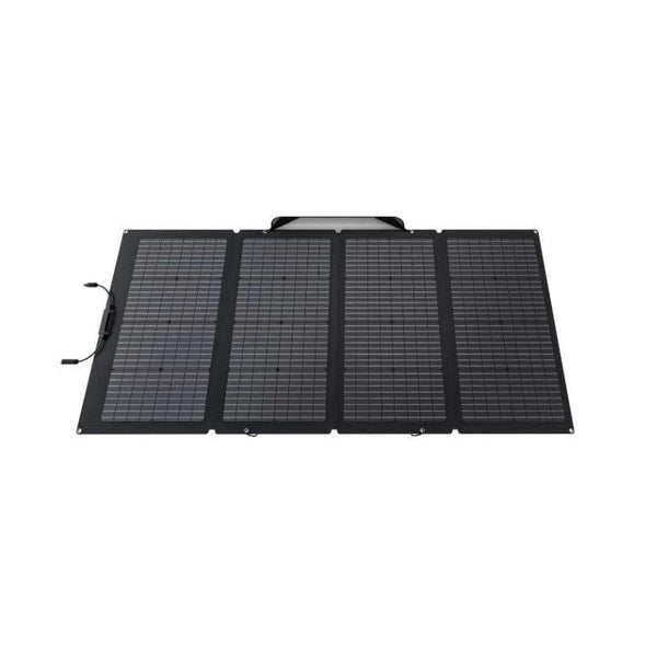 EcoFlow DELTA 2 + 220W Portable Solar Panel Bundle
