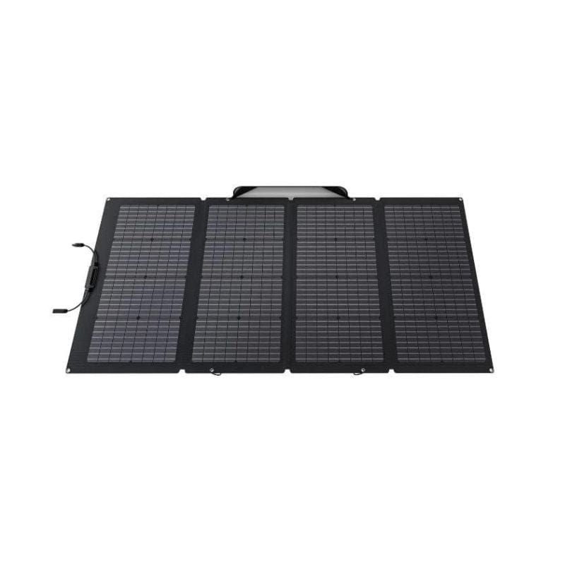 EcoFlow Solar Generator EcoFlow DELTA 2 Portable Solar Power Station + 220w Bifacial Solar Panel